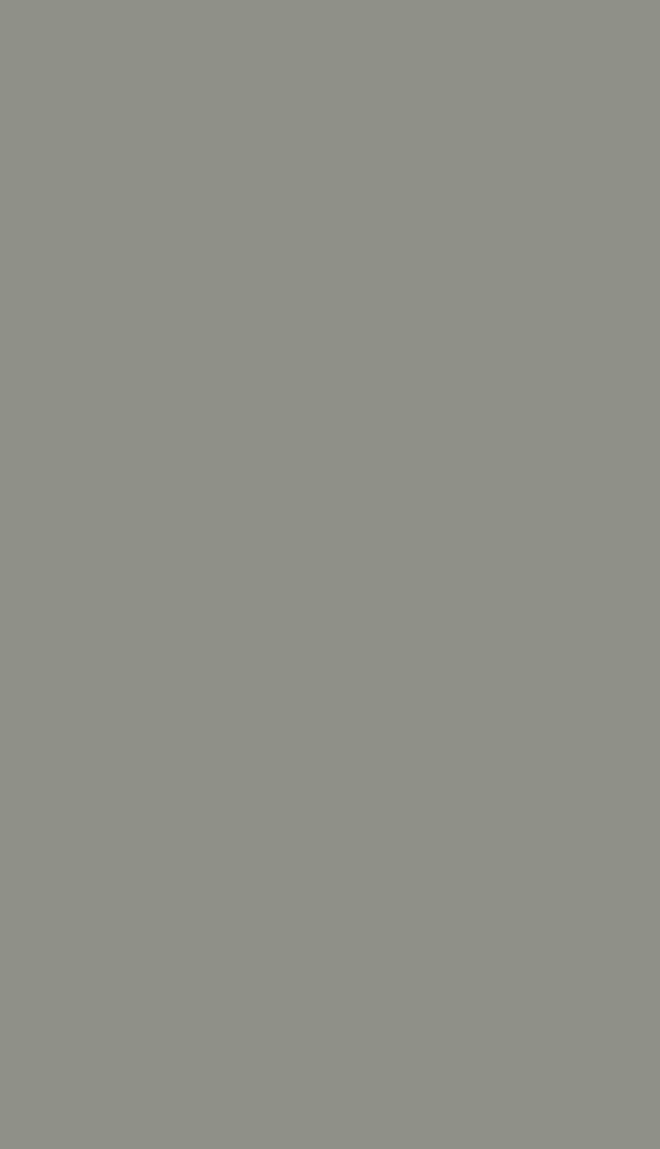 Glossy Stone Gray