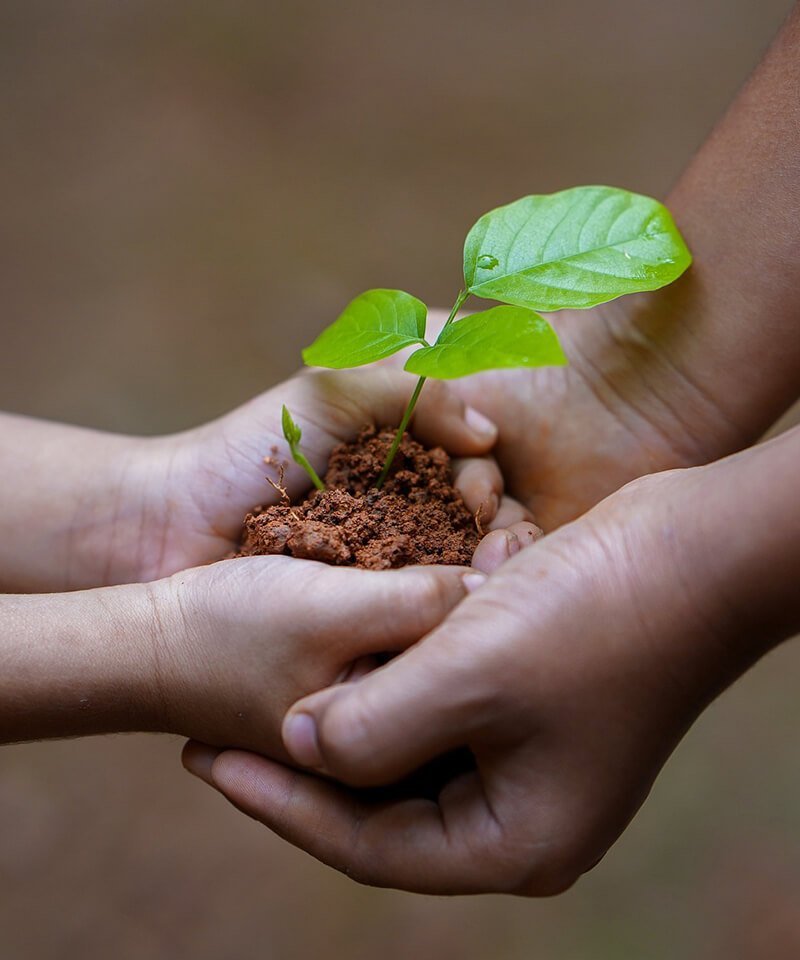 ISO-14001 Environmental Management System Certificate